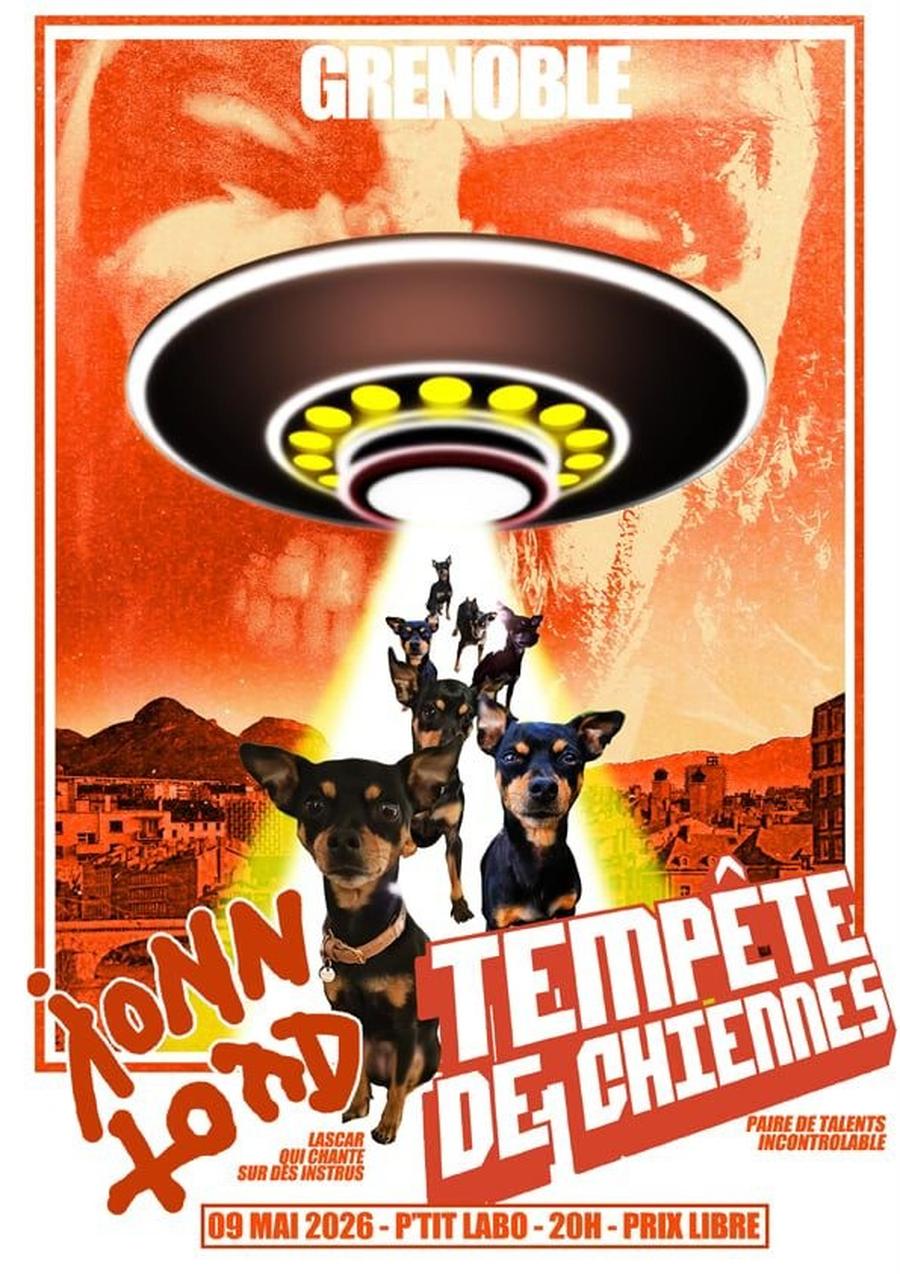 JONN TOAD - turbo chanson française /// TEMPETE DE CHIENNE - popy chanson canine