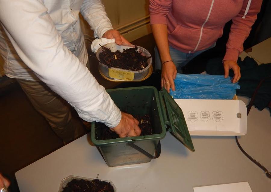 No photo description available.