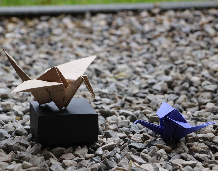 Origami aquatique. Atelier pour tous