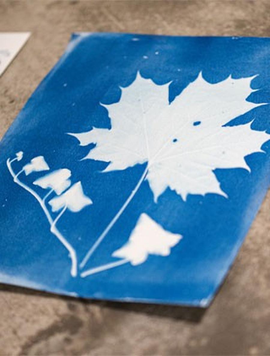 Atelier parent-enfant "Cyanotype"