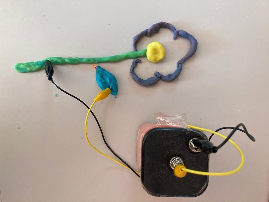 No photo description available.