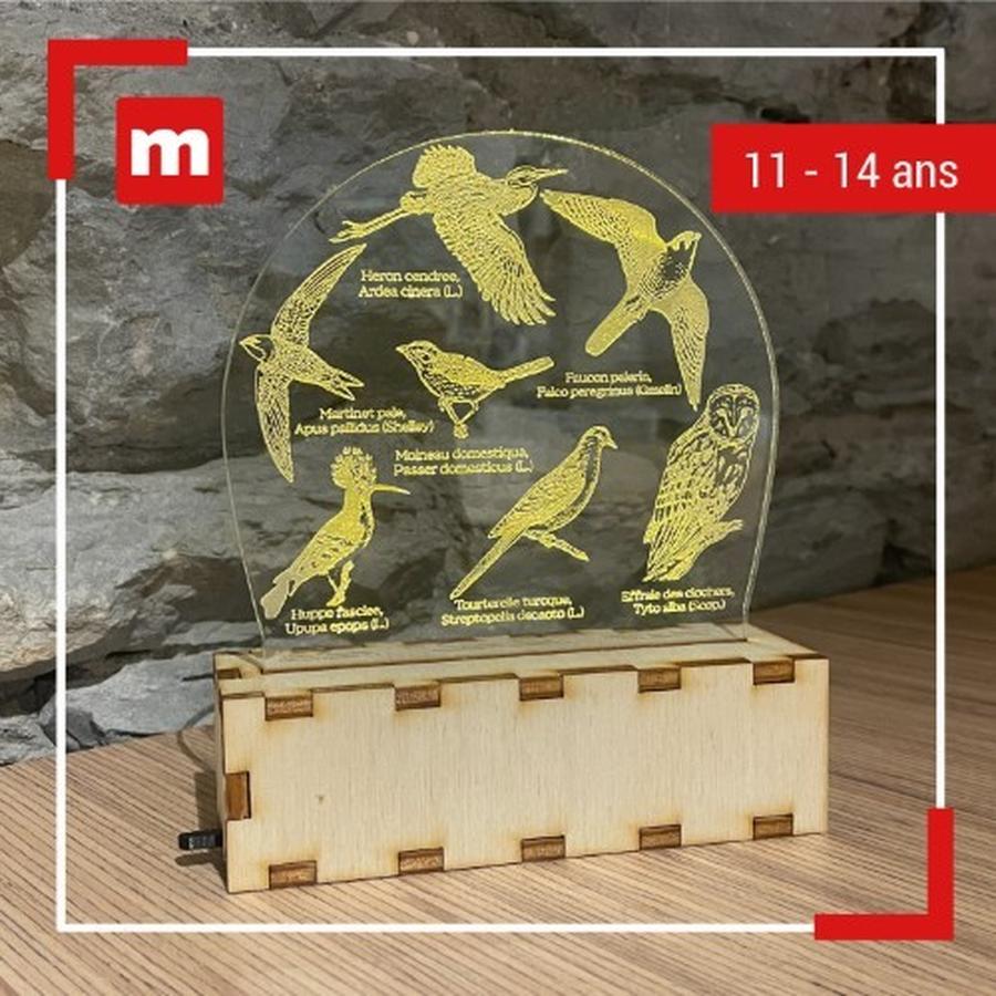 Atelier Fabrique Kids : Lampe « Oiseaux d’Isère »