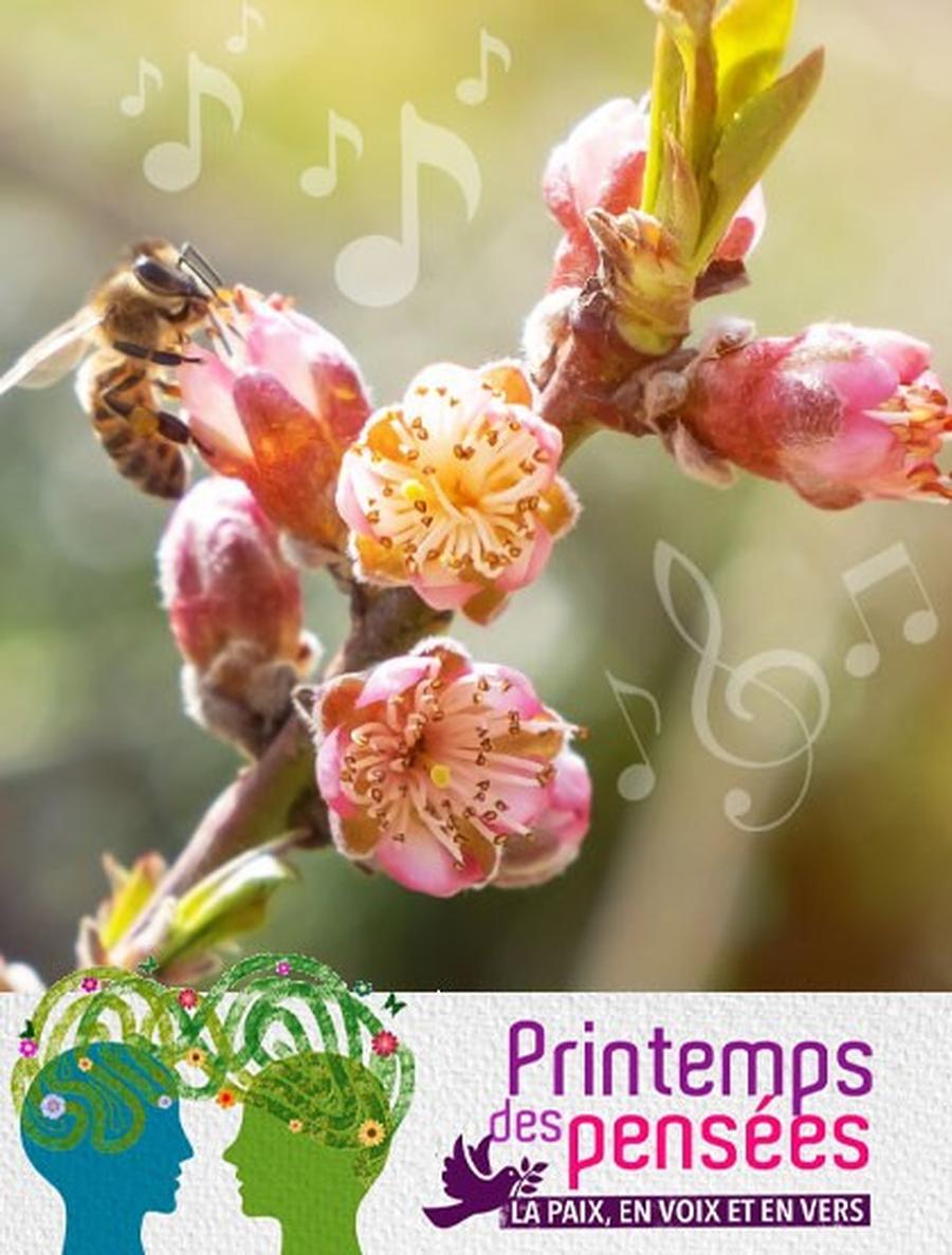 Meylomanies "À la saison des abricots…"